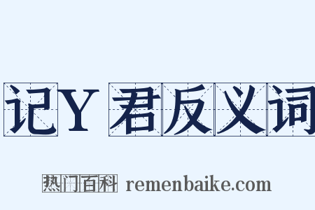 记Y君反义词是什么意思的图片